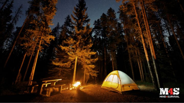 A tent in the woods at night