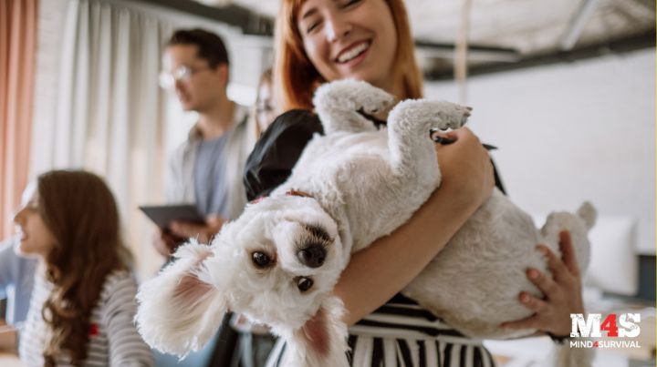 A goofy, upside down dog in the arms of a woman