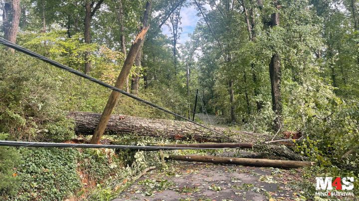 Hurricane Helene Disaster - A snappped power pole.