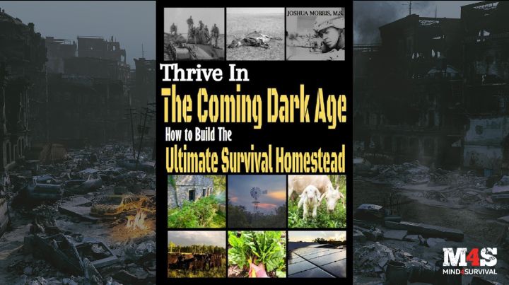 Thrive in the Coming Dark Age with Joshua Morris