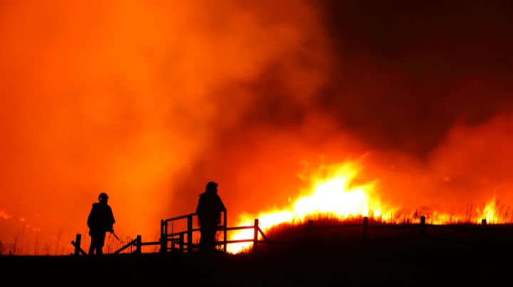 Wildfire Firefighters